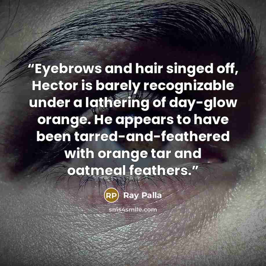 “Eyebrows and hair singed off, Hector is barely recognizable under a lathering of day-glow orange. He appears to have been tarred-and-feathered with orange tar and oatmeal feathers.” quote by Ray Palla