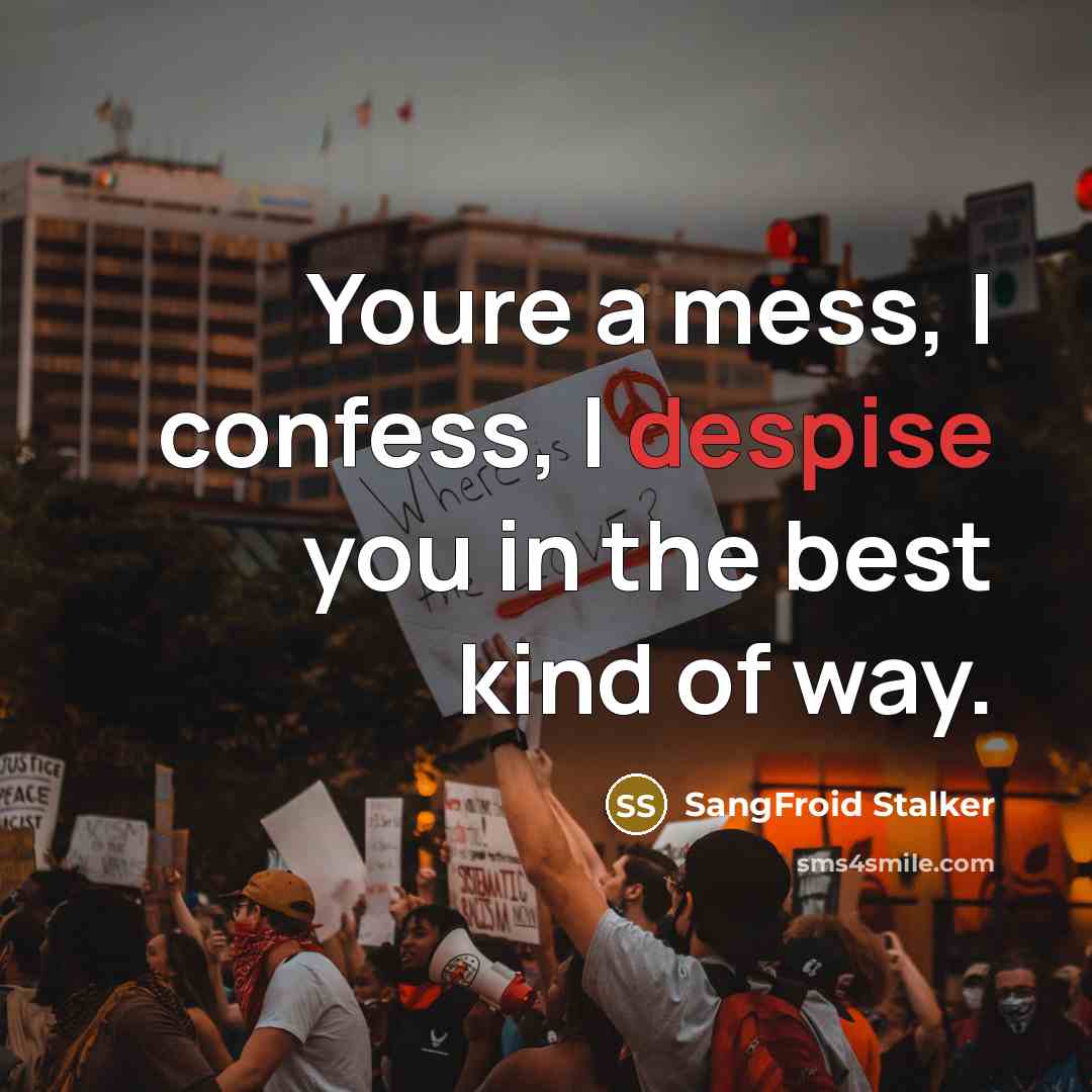 “Youre a mess, I confess, I despise you in the…” quote by SangFroid Stalker