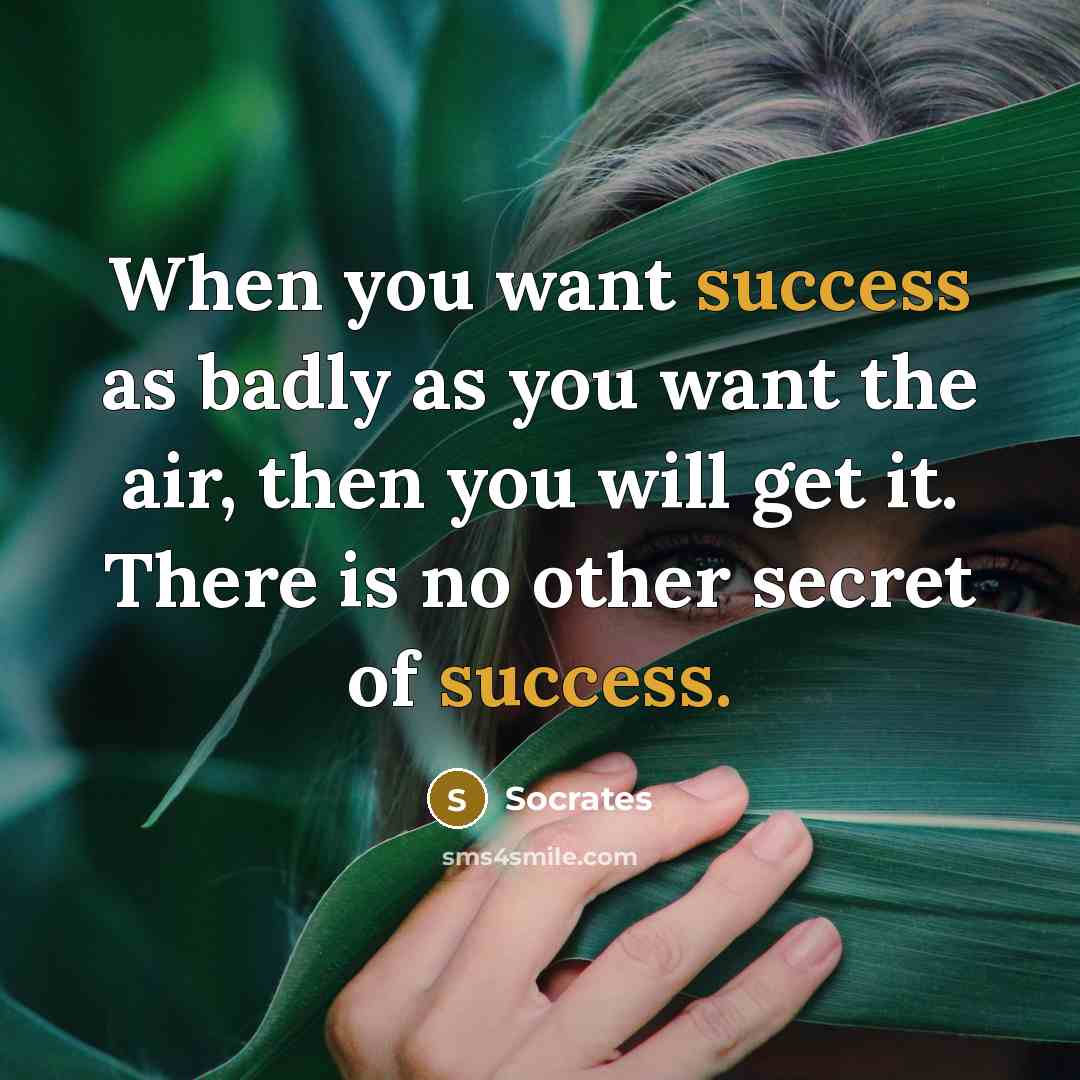 “When you want success as badly as you want the…” quote by Socrates