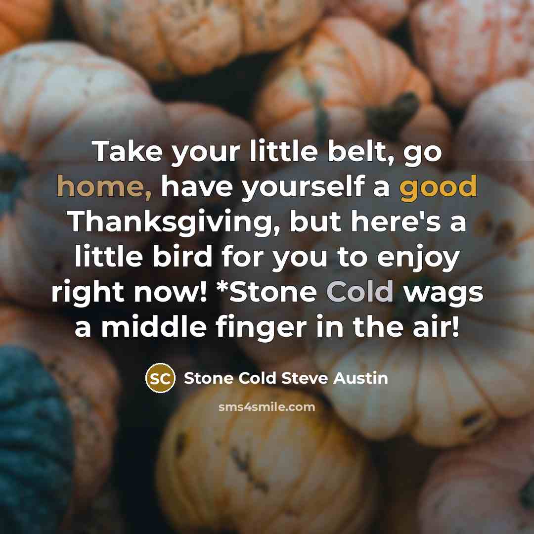 “Take your little belt, go home, have yourself a good…” quote by Stone Cold Steve Austin