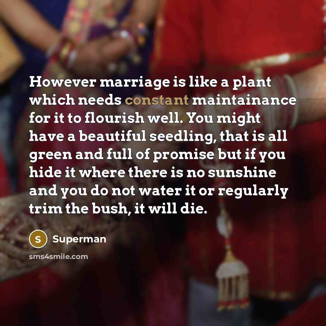 “However marriage is like a plant which needs constant maintainance…” quote by Superman