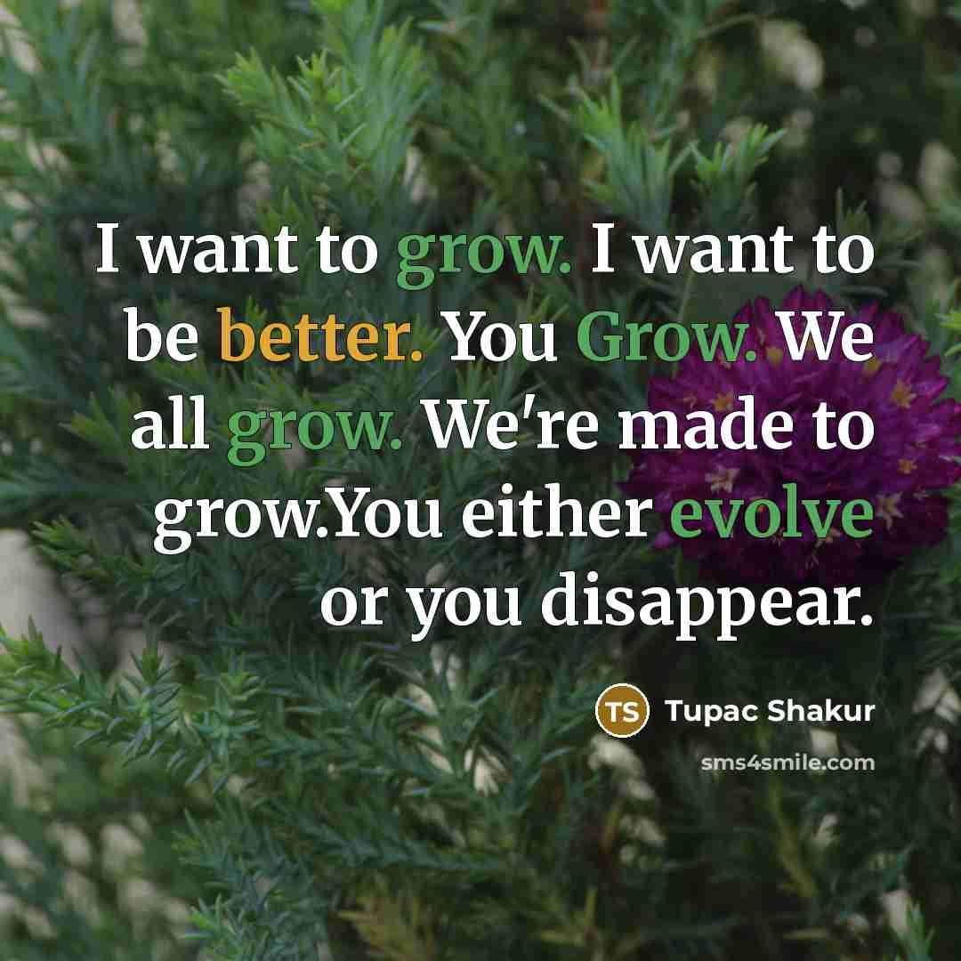 “I want to grow. I want to be better. You…” quote by Tupac Shakur