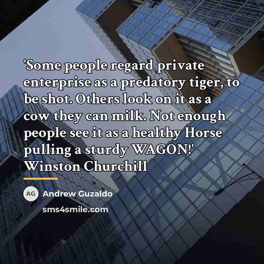 “'Some people regard private enterprise as a predatory tiger, to…” quote by Andrew Guzaldo