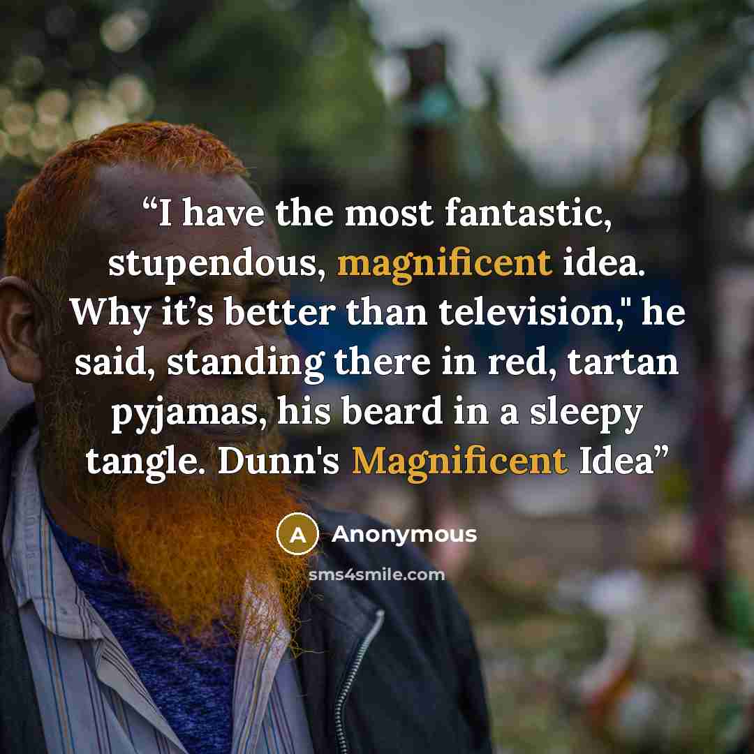 “I have the most fantastic, stupendous, magnificent idea. Why it’s better than television," he said, standing there in red, tartan pyjamas, his beard in a sleepy tangle. Dunn's Magnificent Idea” quote by Anonymous