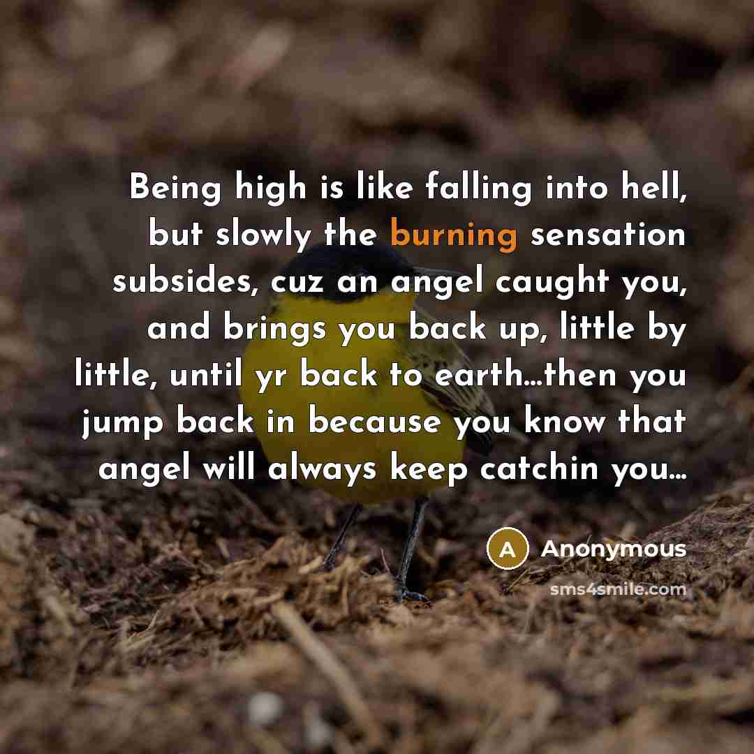 “Being high is like falling into hell, but slowly the burning sensation subsides, cuz an angel caught you, and brings you back up, little by little, until yr back to earth…then you jump back in because you know that angel will always keep catchin you...” quote by Anonymous