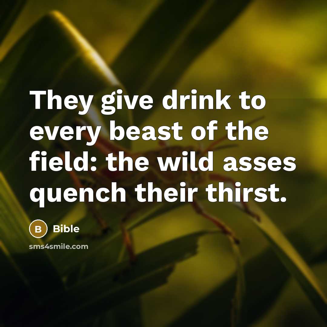 “They give drink to every beast of the field: the…” quote by Bible