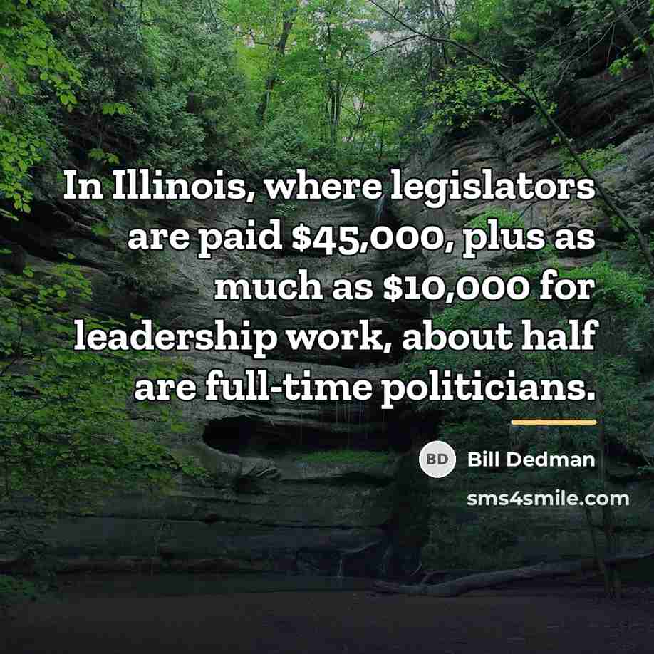 “In Illinois, where legislators are paid $45,000, plus as much…” quote by Bill Dedman