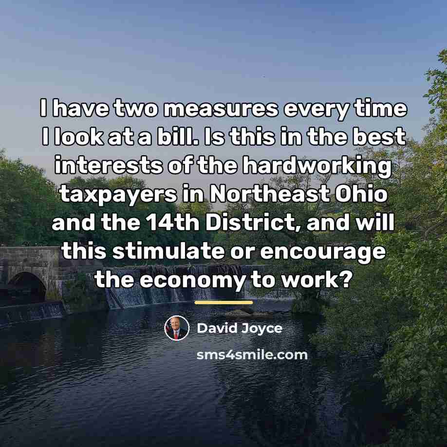 “I have two measures every time I look at a…” quote by David Joyce