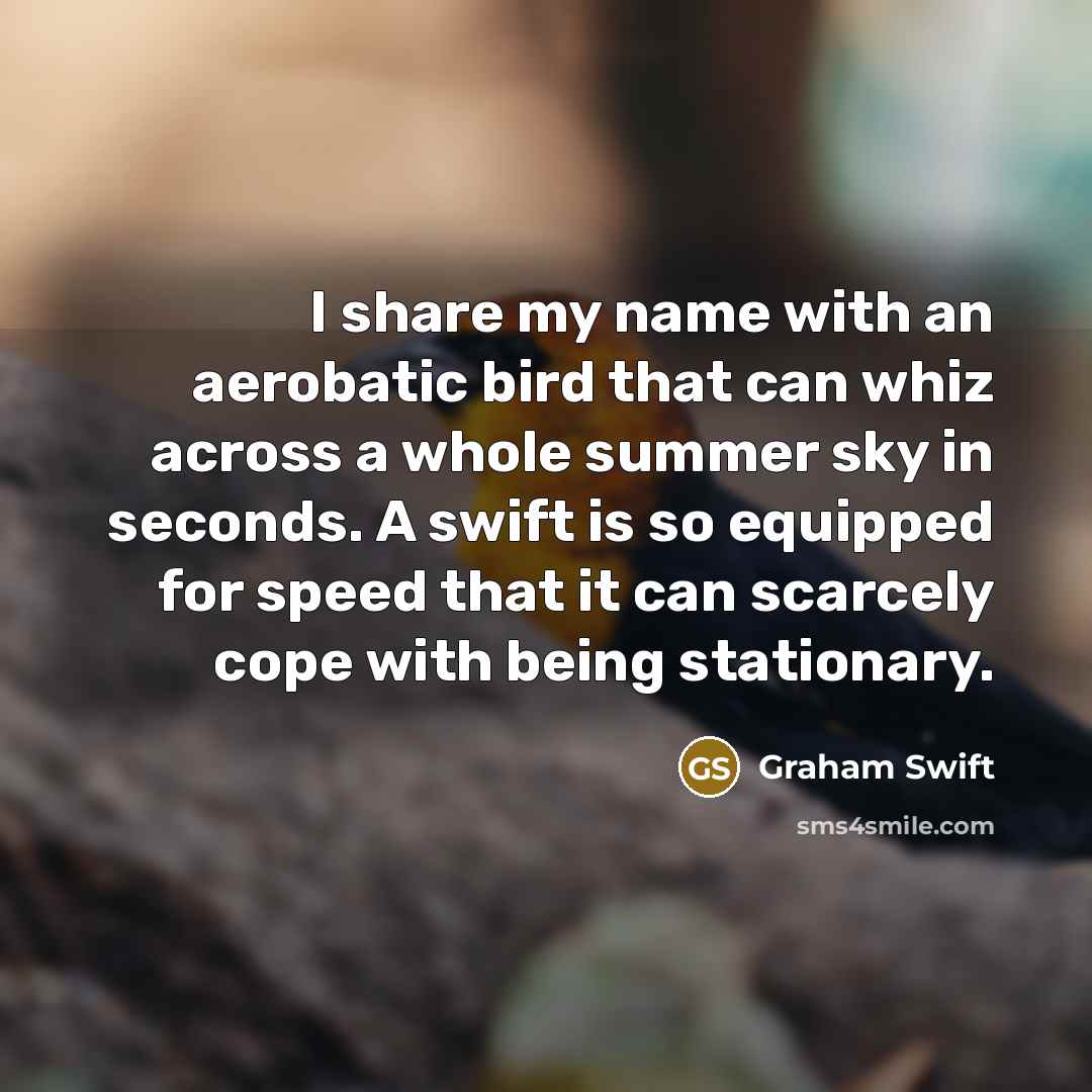 “I share my name with an aerobatic bird that can…” quote by Graham Swift