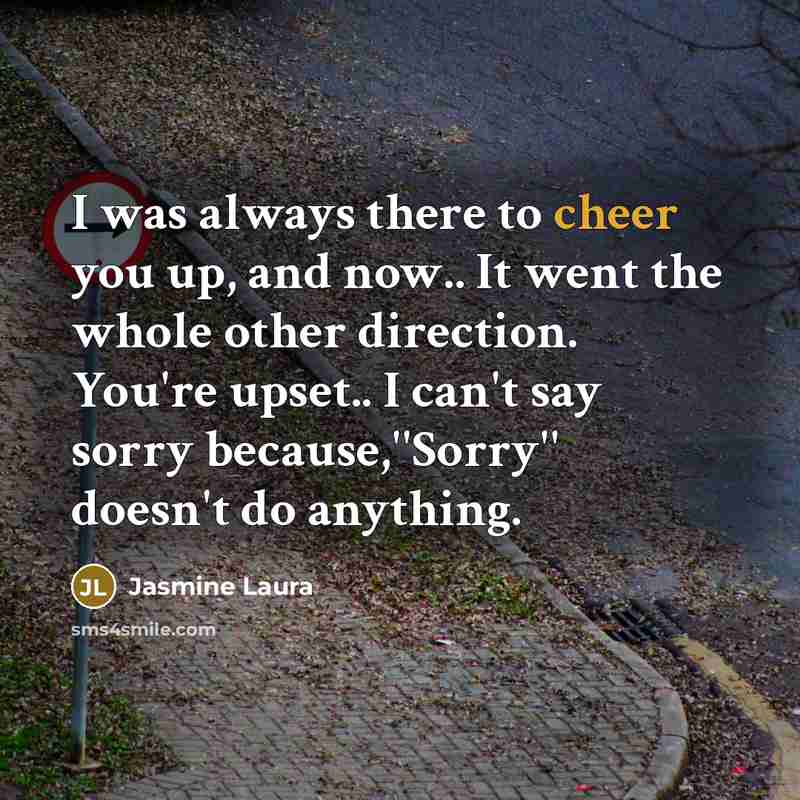 “I was always there to cheer you up, and now.. It went the whole other direction. You're upset.. I can't say sorry because,''Sorry'' doesn't do anything.” quote by Jasmine Laura