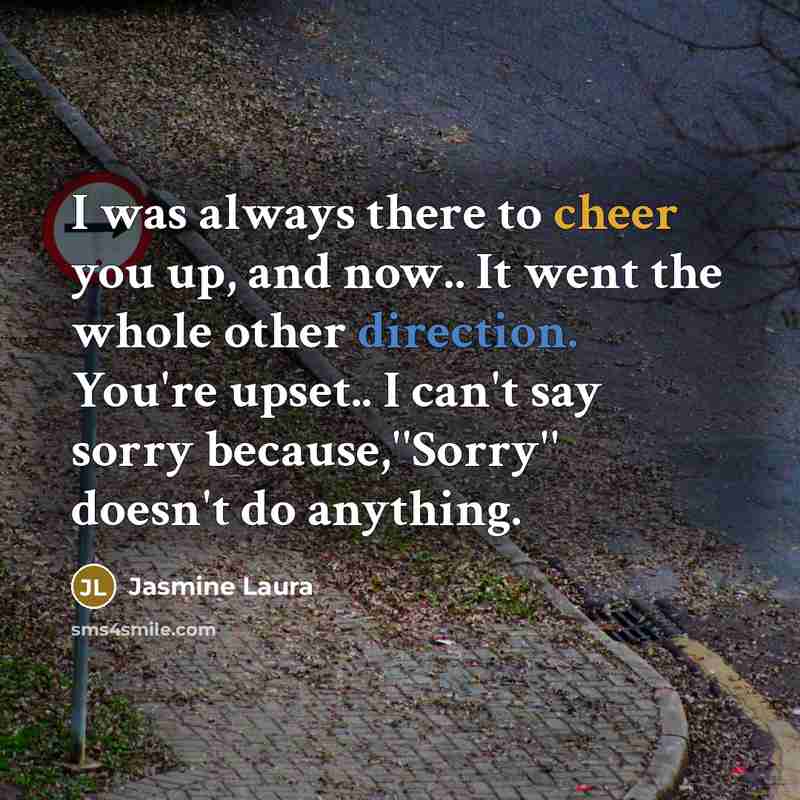 “I was always there to cheer you up, and now.. It went the whole other direction. You're upset.. I can't say sorry because,''Sorry'' doesn't do anything.” quote by Jasmine Laura