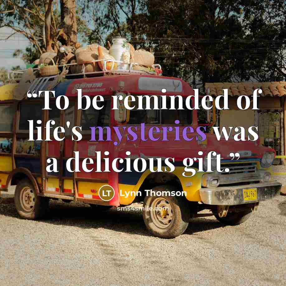 “To be reminded of life's mysteries was a delicious gift.” quote by Lynn Thomson