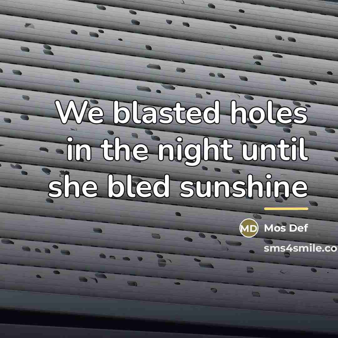 “We blasted holes in the night until she bled sunshine…” quote by Mos Def