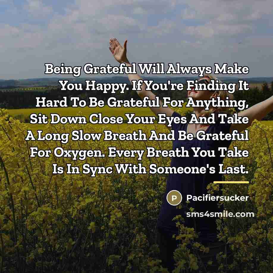 “Being Grateful Will Always Make You Happy. If You're Finding…” quote by Pacifiersucker