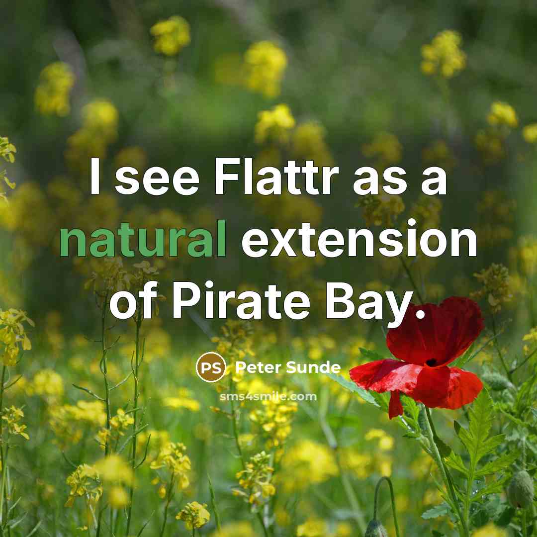“I see Flattr as a natural extension of Pirate Bay.…” quote by Peter Sunde