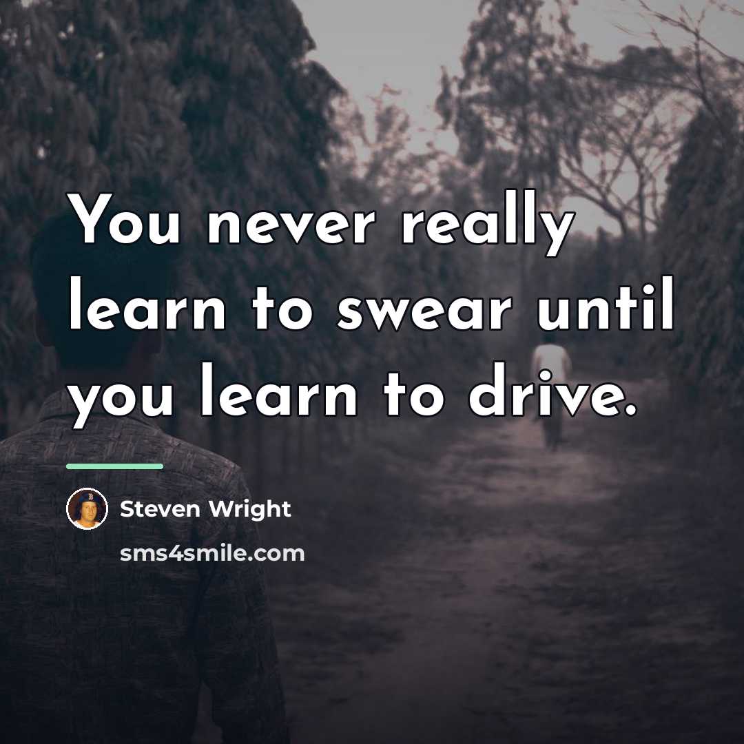 “You never really learn to swear until you learn to…” quote by Steven Wright