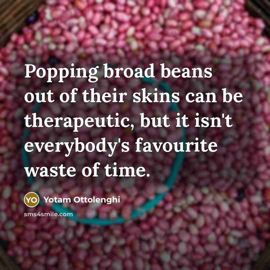 “Popping broad beans out of their skins can be therapeutic,…” quote by Yotam Ottolenghi