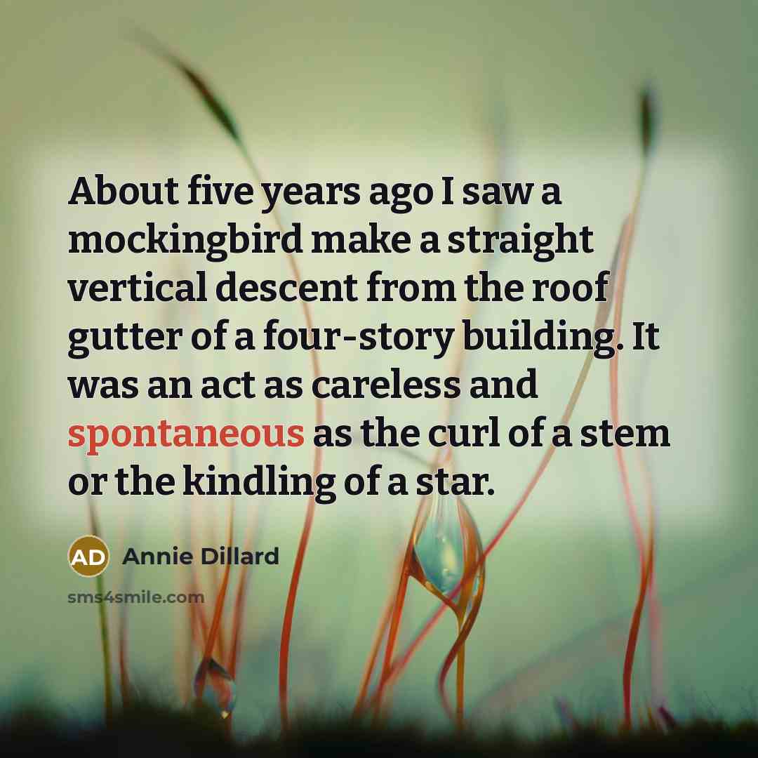 “About five years ago I saw a mockingbird make a…” quote by Annie Dillard