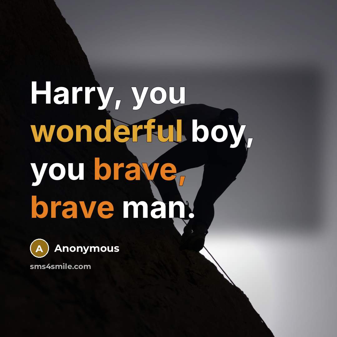 “Harry, you wonderful boy, you brave, brave man.…” quote by Anonymous
