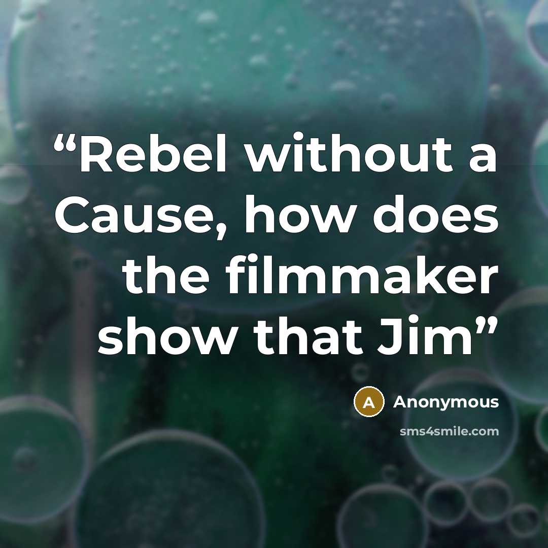“Rebel without a Cause, how does the ﬁlmmaker show that Jim” quote by Anonymous