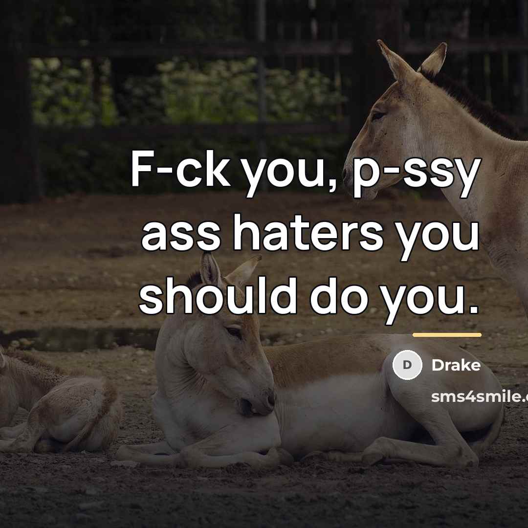 “F-ck you, p-ssy ass haters you should do you.…” quote by Drake