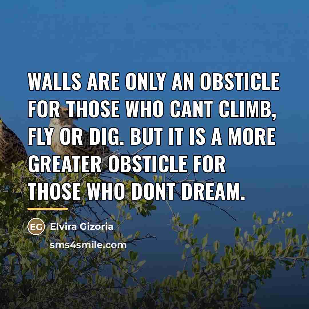 “Walls are only an obsticle for those who cant climb,…” quote by Elvira Gizoria