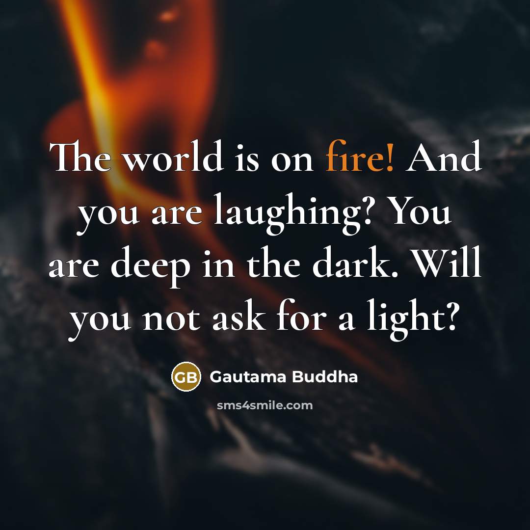 “The world is on fire! And you are laughing? You…” quote by Gautama Buddha