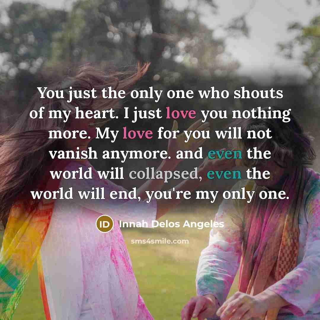 “You just the only one who shouts of my heart. I just love you nothing more. My love for you will not vanish anymore. and even the world will collapsed, even the world will end, you're my only one.” quote by Innah Delos Angeles