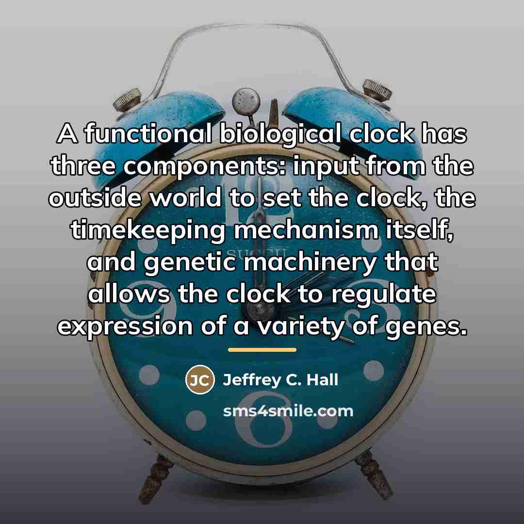 “A functional biological clock has three components: input from the…” quote by Jeffrey C. Hall
