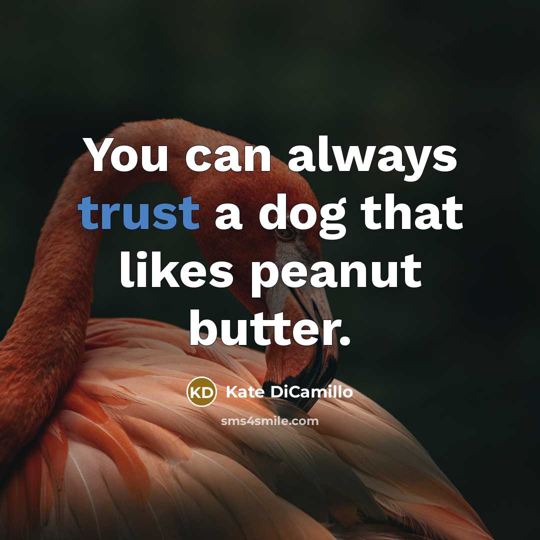 “You can always trust a dog that likes peanut butter.” quote by Kate DiCamillo
