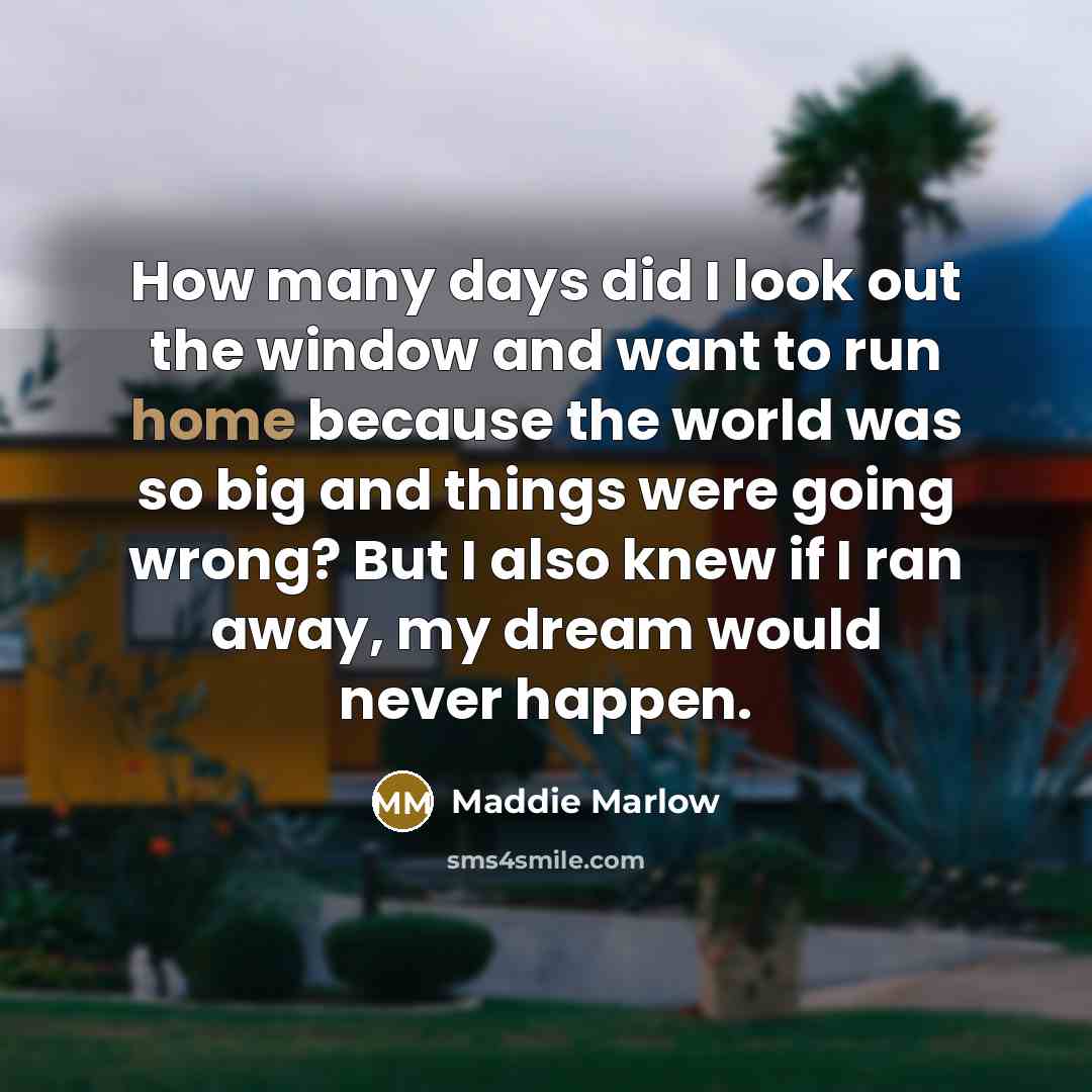 “How many days did I look out the window and…” quote by Maddie Marlow