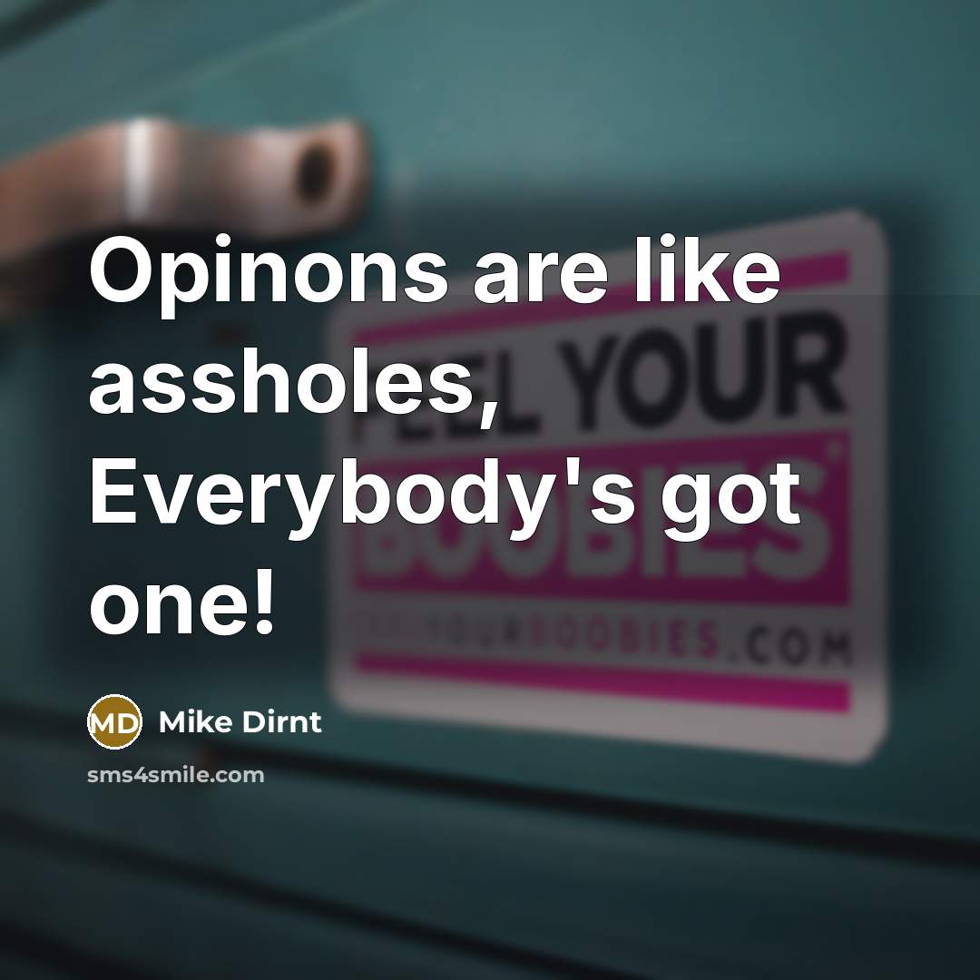“Opinons are like assholes, Everybody's got one!…” quote by Mike Dirnt