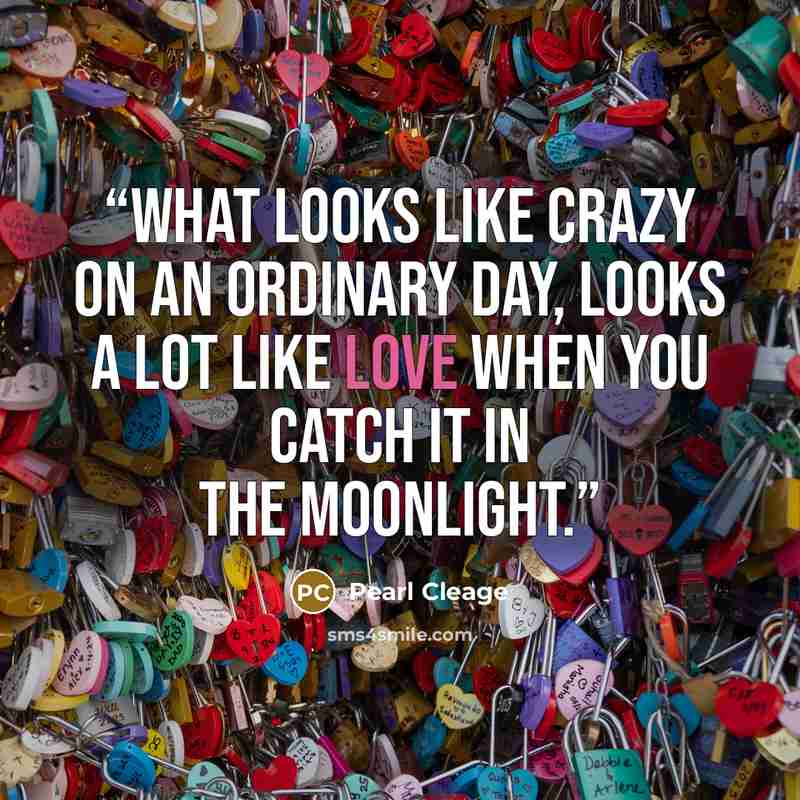 “What looks like crazy on an ordinary day, looks a lot like love when you catch it in the moonlight.” quote by Pearl Cleage