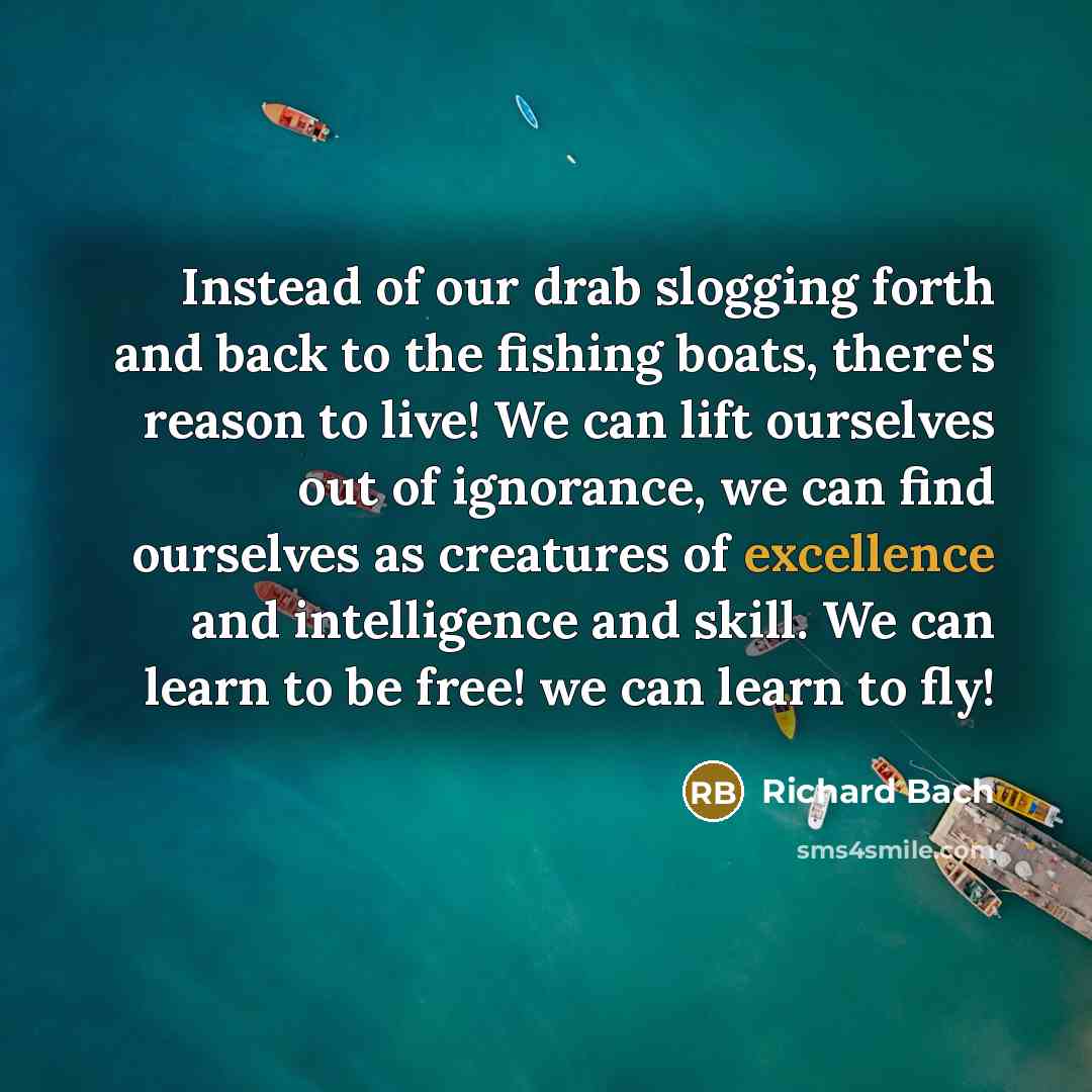 “Instead of our drab slogging forth and back to the…” quote by Richard Bach