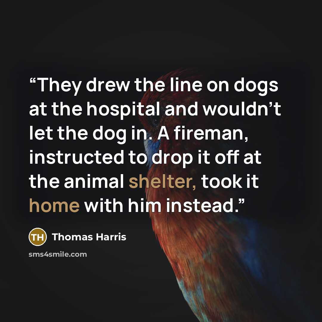 “They drew the line on dogs at the hospital and wouldn’t let the dog in. A fireman, instructed to drop it off at the animal shelter, took it home with him instead.” quote by Thomas Harris