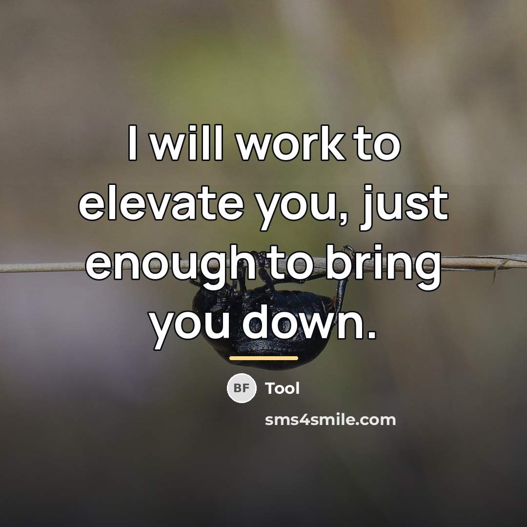 “I will work to elevate you, just enough to bring…” quote by Tool