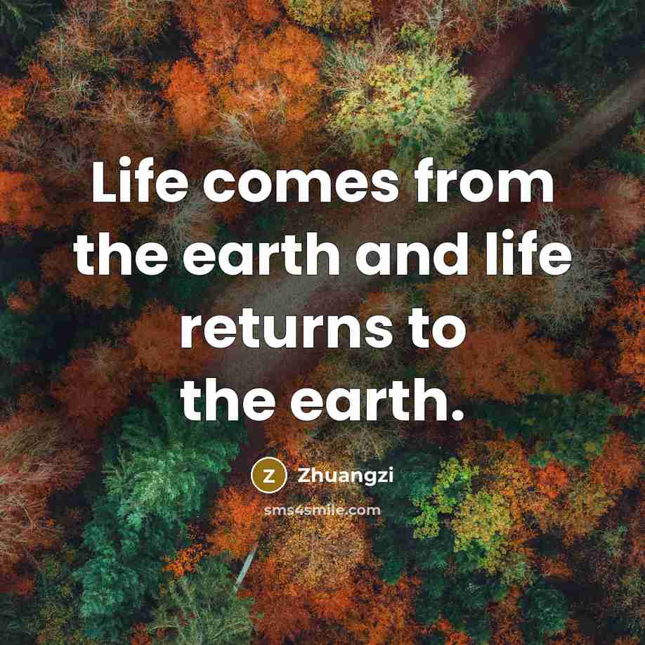 “Life comes from the earth and life returns to the…” quote by Zhuangzi