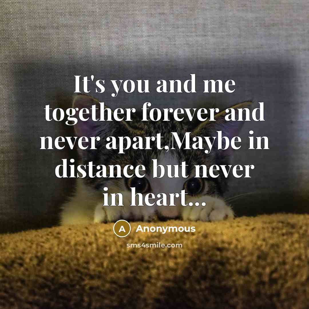 “It's you and me together forever and never apart,Maybe in…” quote by Anonymous