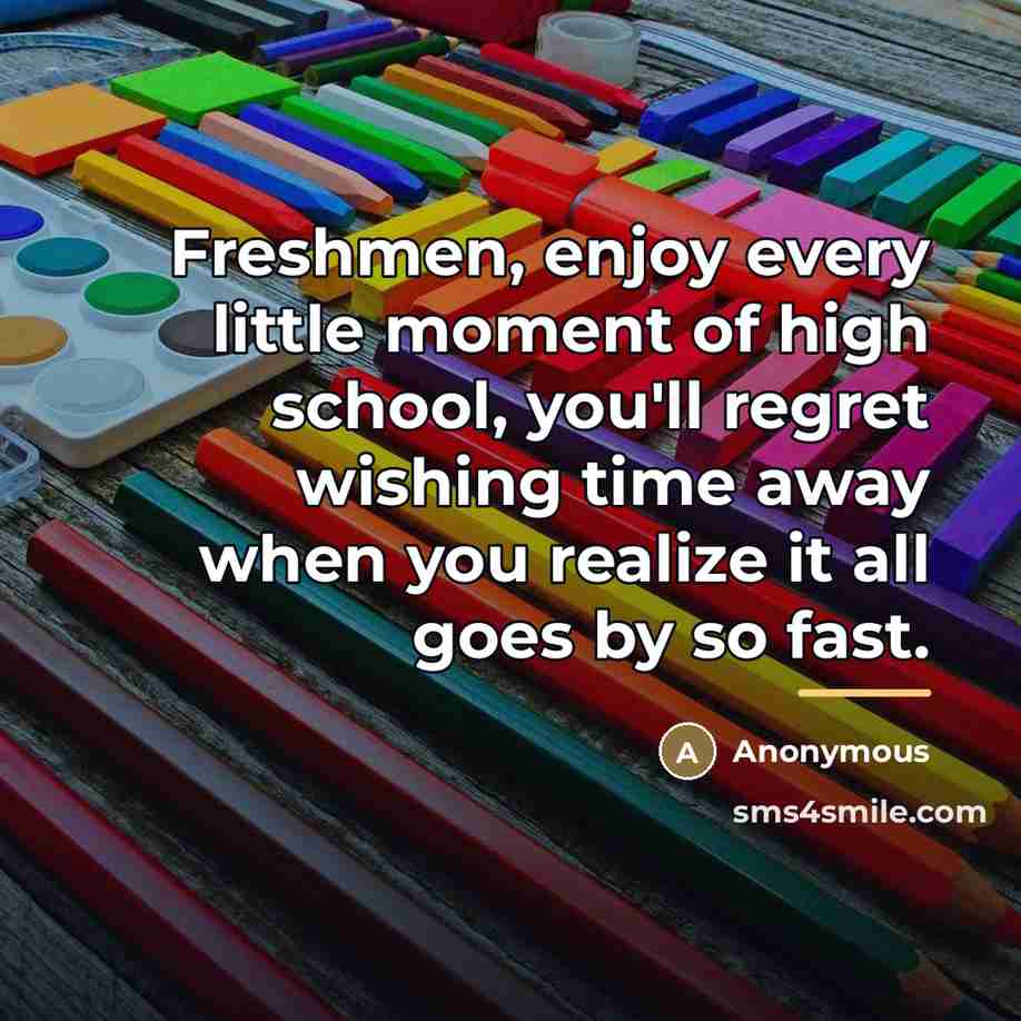“Freshmen, enjoy every little moment of high school, you'll regret…” quote by Anonymous