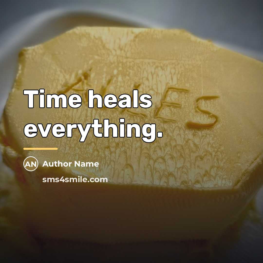 “Time heals everything.…” quote by Author Name