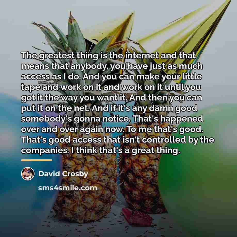 “The greatest thing is the internet and that means that…” quote by David Crosby