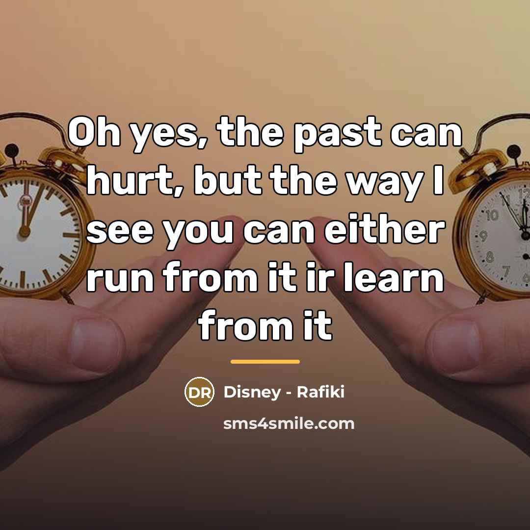“Oh yes, the past can hurt, but the way I…” quote by Disney - Rafiki