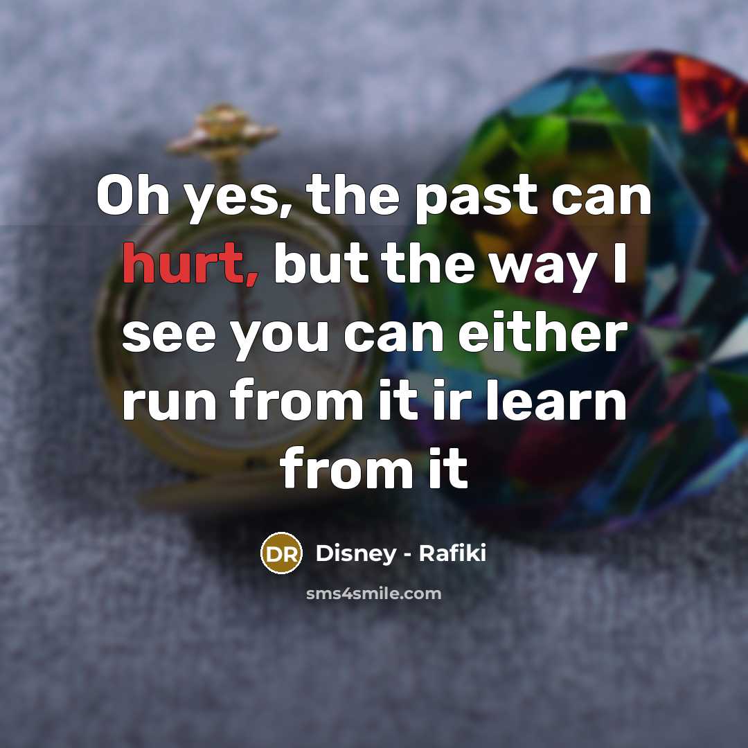 “Oh yes, the past can hurt, but the way I see you can either run from it ir learn from it” quote by Disney - Rafiki
