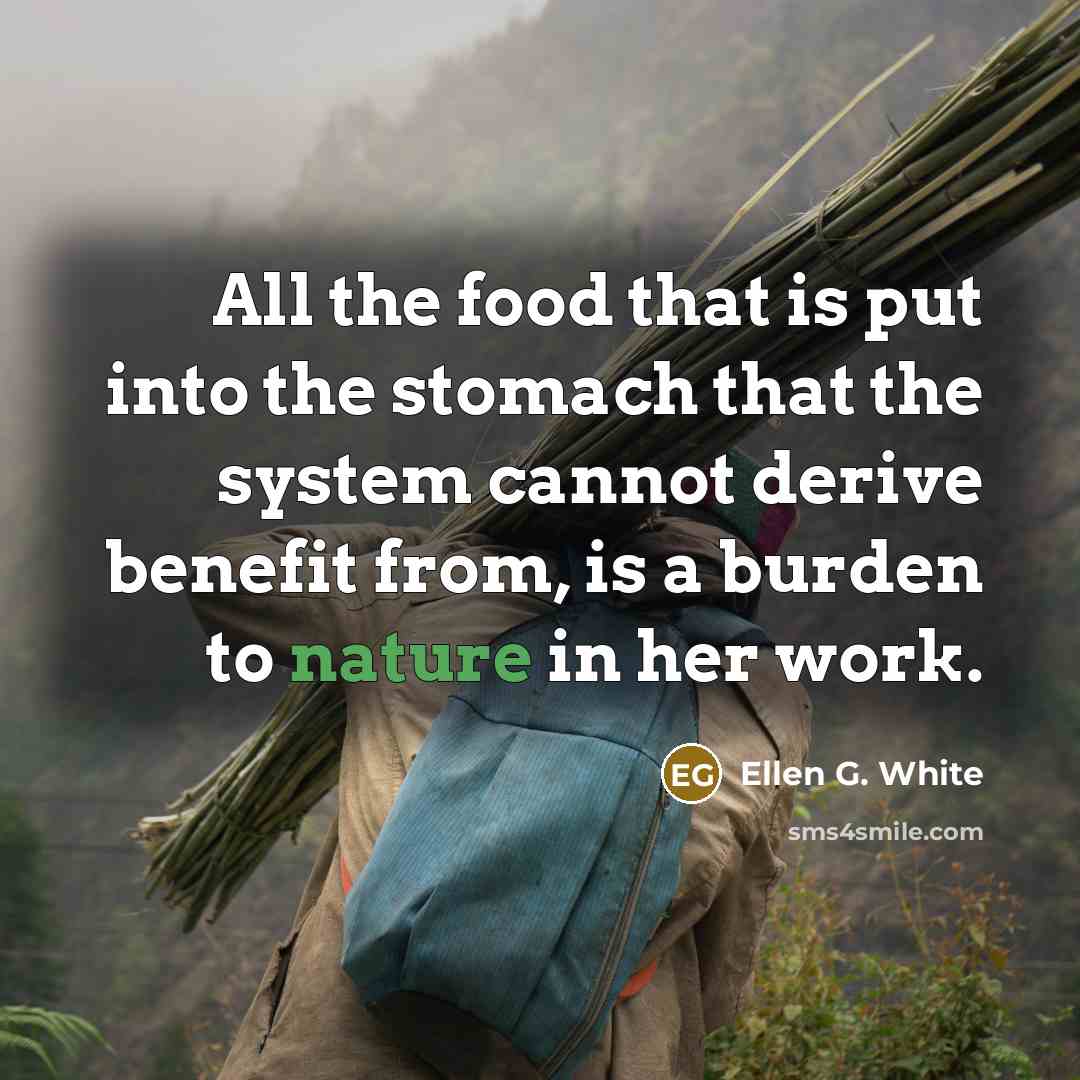 “All the food that is put into the stomach that…” quote by Ellen G. White