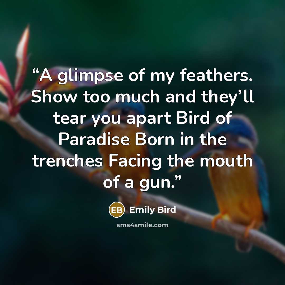 “A glimpse of my feathers. Show too much and they’ll tear you apart Bird of Paradise Born in the trenches Facing the mouth of a gun.” quote by Emily Bird