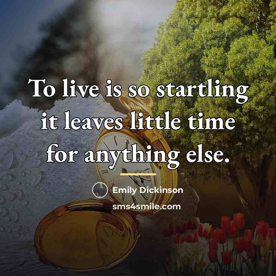 “To live is so startling it leaves little time for…” quote by Emily Dickinson