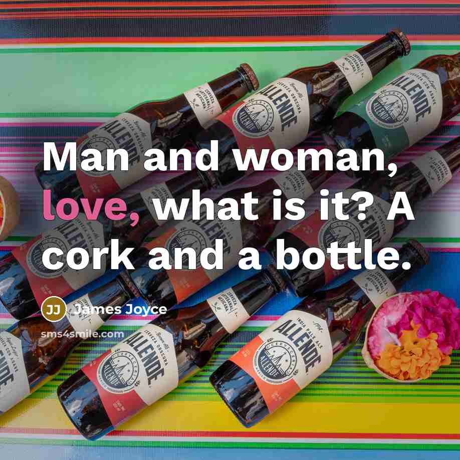 “Man and woman, love, what is it? A cork and a bottle.” quote by James Joyce
