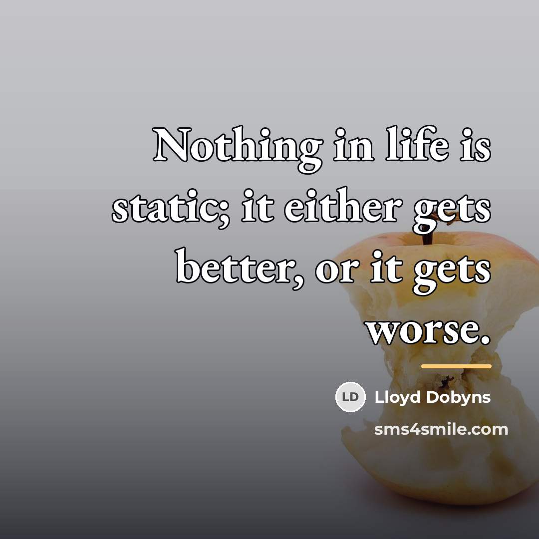 “Nothing in life is static; it either gets better, or…” quote by Lloyd Dobyns