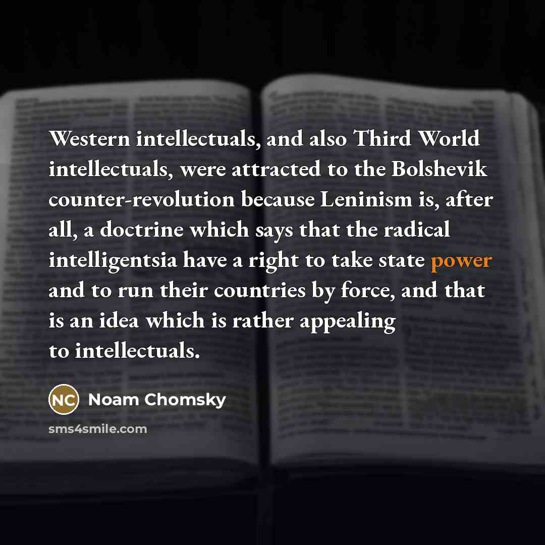 “Western intellectuals, and also Third World intellectuals, were attracted to…” quote by Noam Chomsky