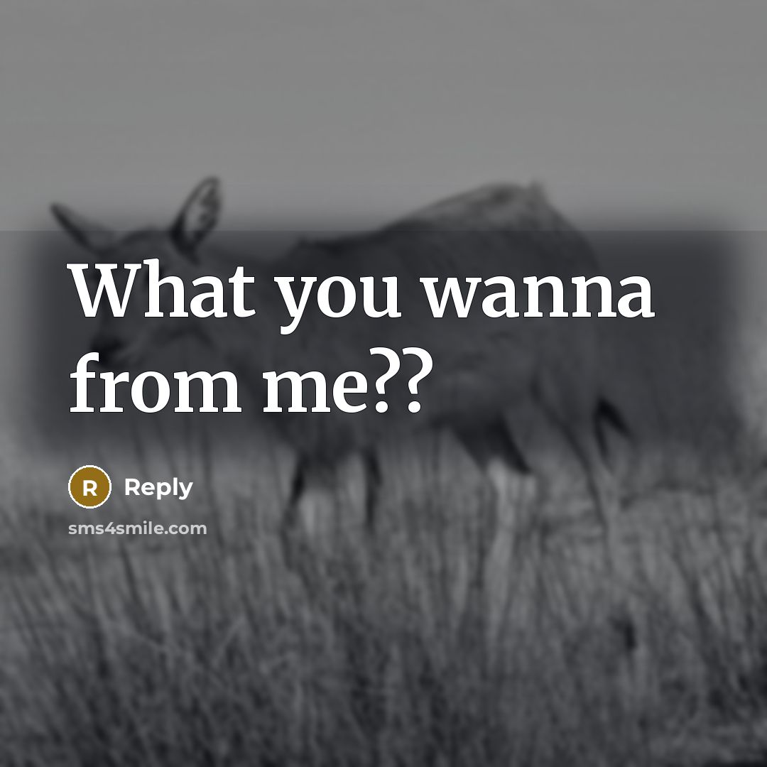 “What you wanna from me??” quote by Reply